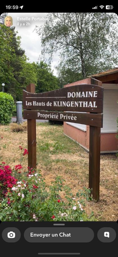 Gite Au Nid De L'Ecureuil Boersch Exterior foto